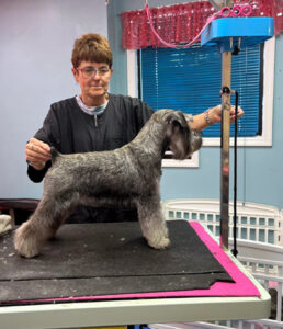 pam with schnauzer
